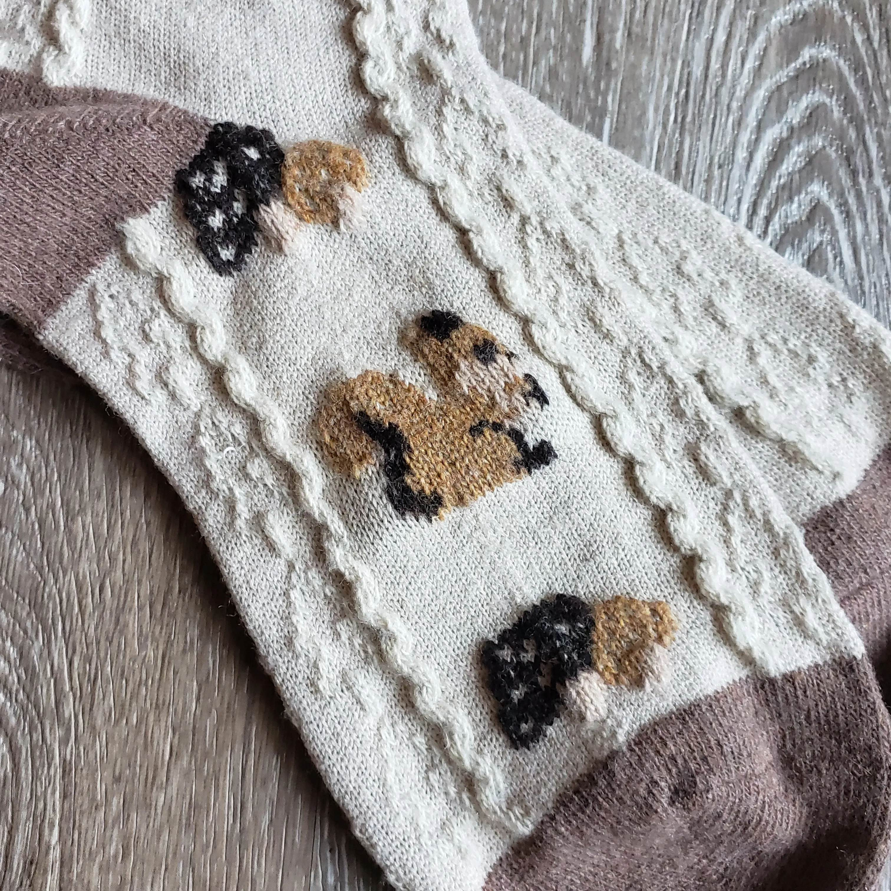 Cozy Squirrel Socks