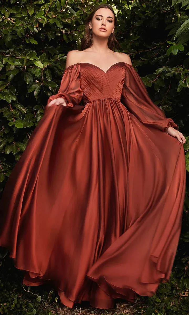 Ladivine CD243 Size 12, 22 Petal Blush Long Sleeve Chiffon A Line Formal Dress V Neck Bridesmaid Dress Bridesmaid